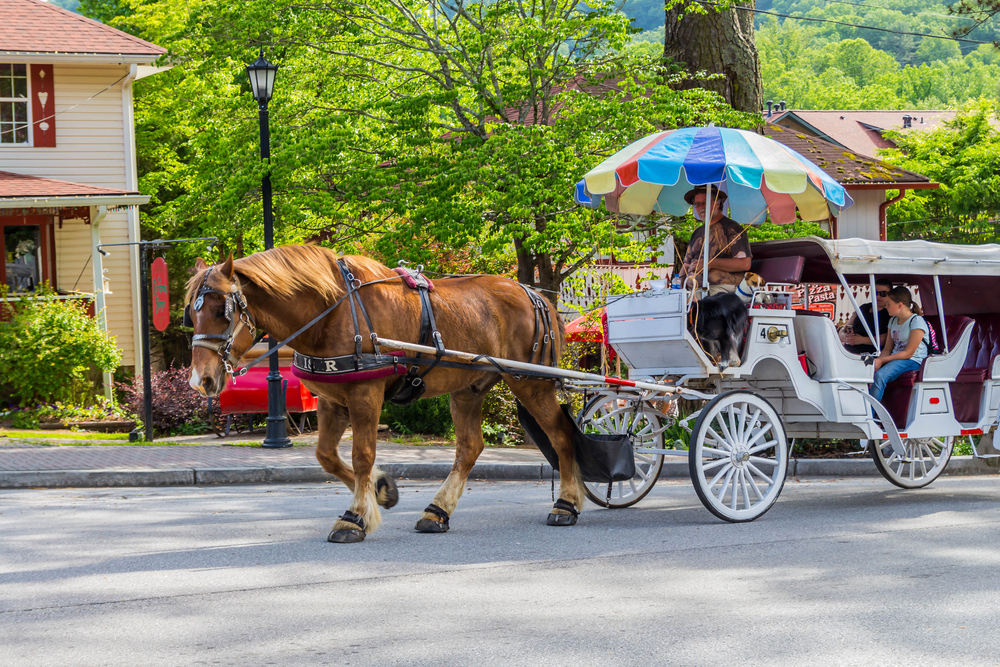 Helen Carriage Rides